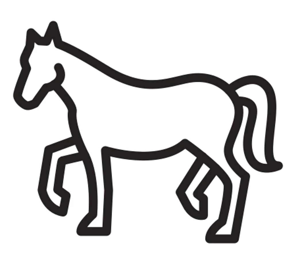 Sinulle jaettu ratsu päivän tunnille